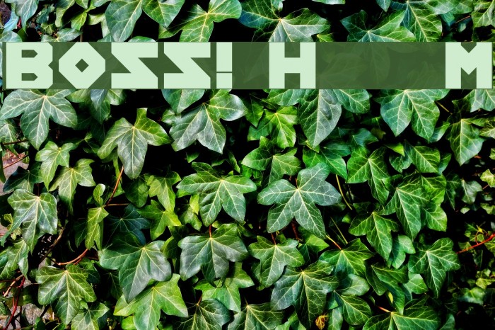 BOSS! Help Me Font examples