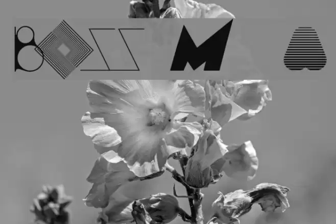 BOSS M  A Font examples