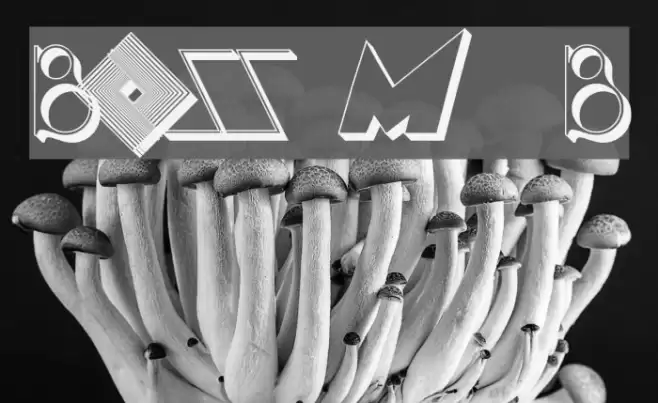 BOSS M  B Font examples