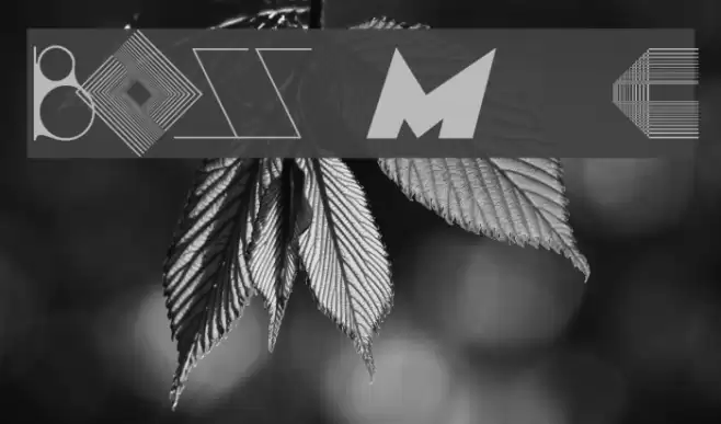 BOSS M  C Font examples