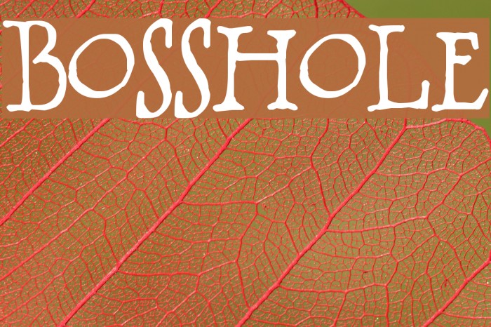 BOSSHOLE Font examples