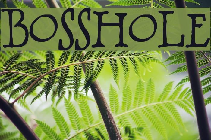 BOSSHOLE Font examples