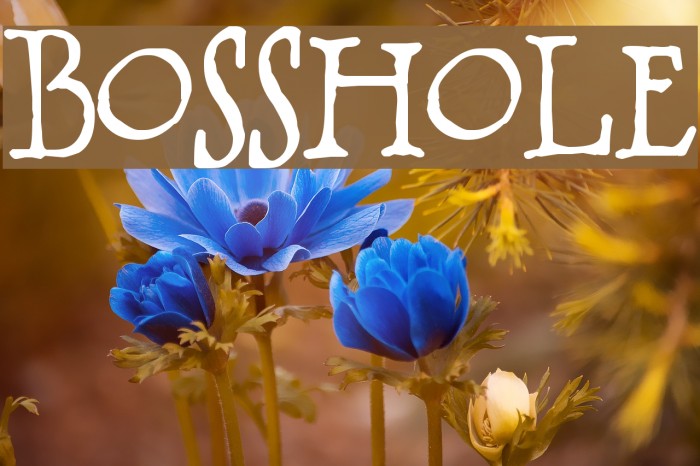 BOSSHOLE Font examples