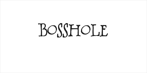 BOSSHOLE Logo