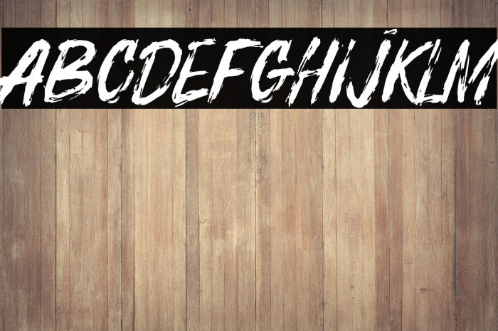 BOSTHON BRUSH Example 1