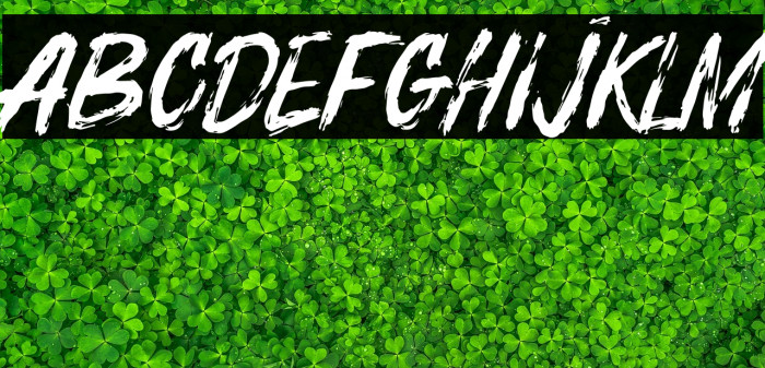 BOSTHON BRUSH Example 2