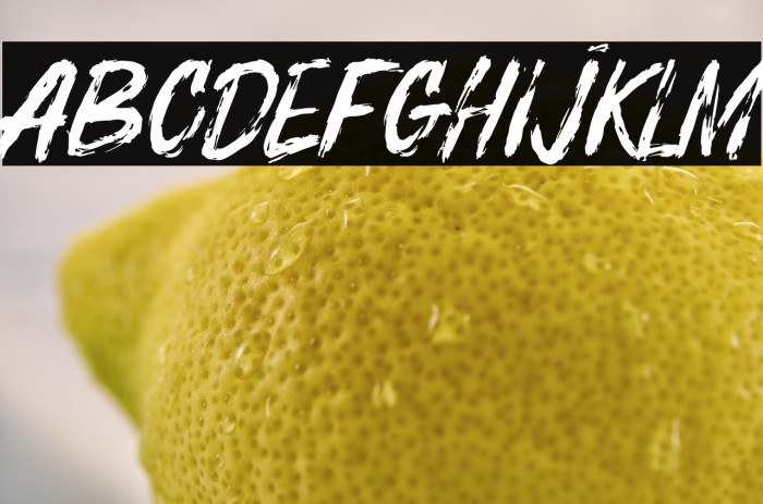 BOSTHON BRUSH Example 3