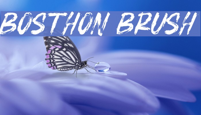 BOSTHON BRUSH Fonte examples