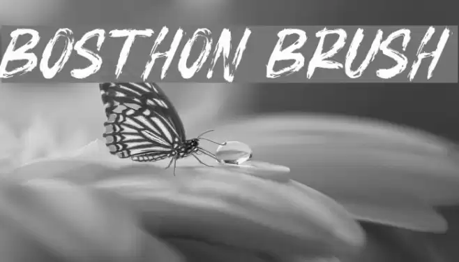 BOSTHON BRUSH Font examples