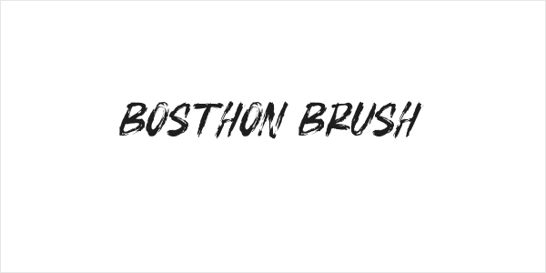 BOSTHON BRUSH Logo