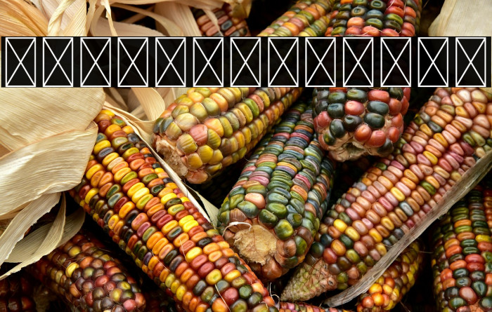 BOSTHON Swash Example 1