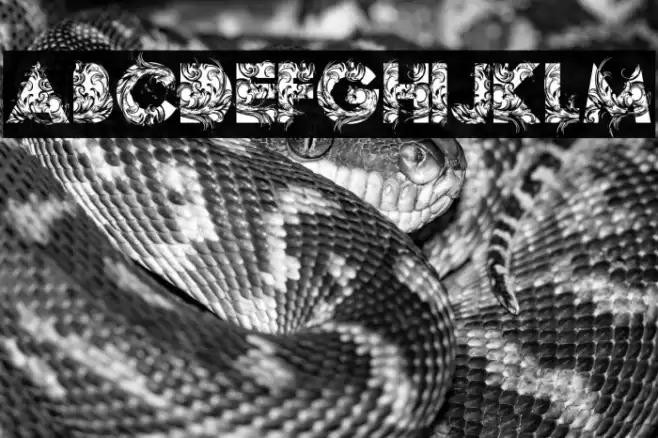 BOTANIC PERSONAL USE Bold Caratteri examples