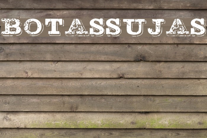 BOTASSUJAS Font examples