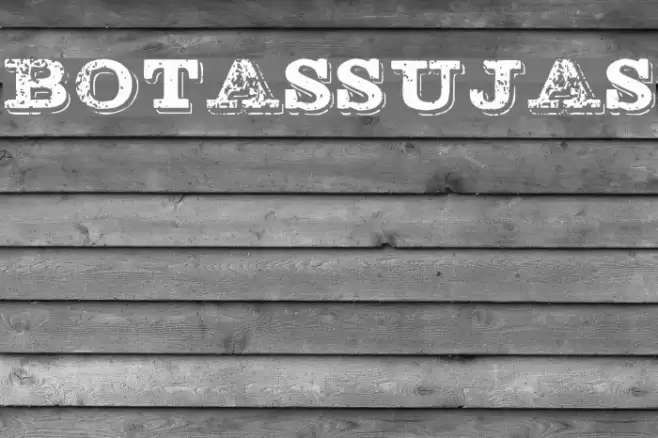 BOTASSUJAS フォント examples
