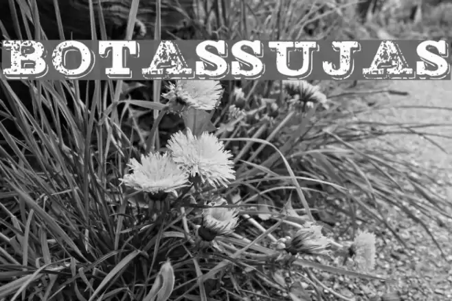 BOTASSUJAS フォント examples