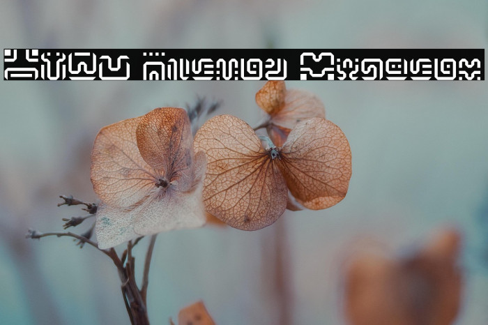 BOTW Hylian Regular Example 2