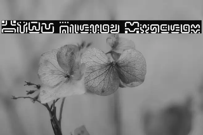 BOTW Hylian Regular Font examples