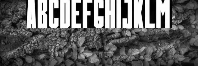 BOULEVARD Font examples