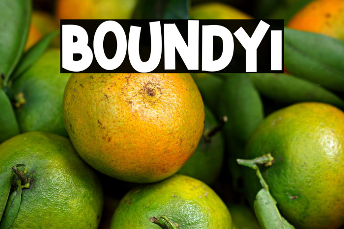 BOUNDY1 Example 2