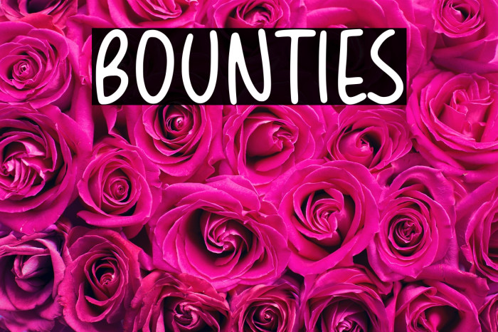 BOUNTIES Example 1