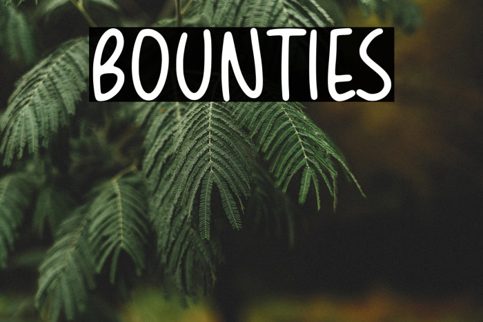 BOUNTIES Example 2