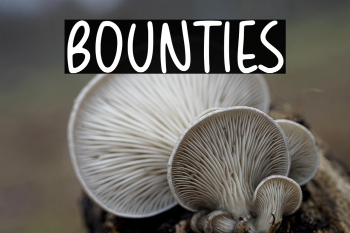 BOUNTIES Example 3
