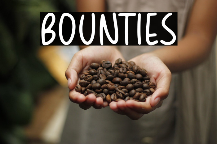 BOUNTIES Example 2