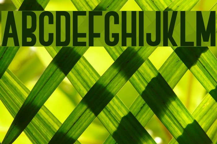 BOVEN 1 Font examples