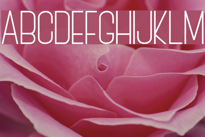 BOVEN 3 Font examples