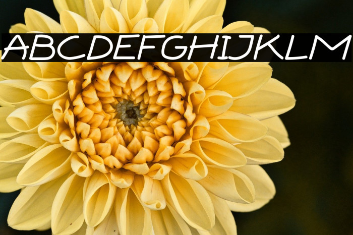 BOXI MARKER Example 1