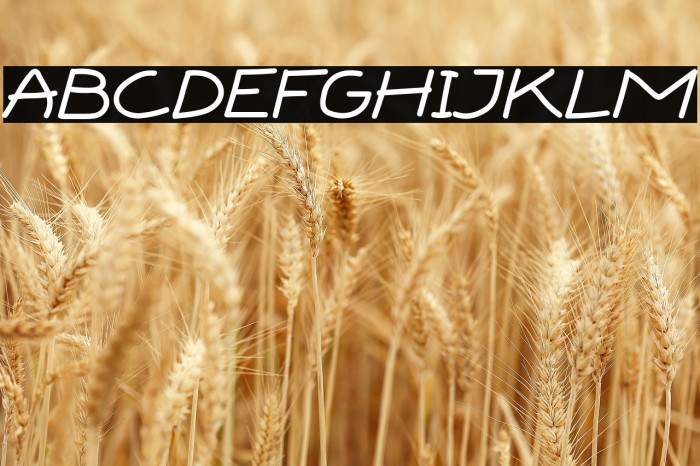 BOXI MARKER Example 2