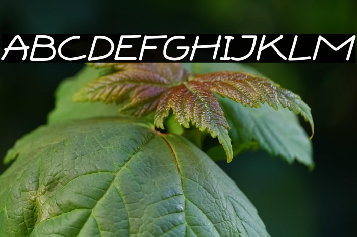 BOXI MARKER Example 3