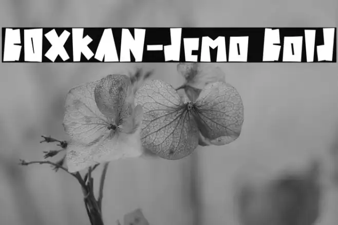 BOXKAN-demo Bold Example 1