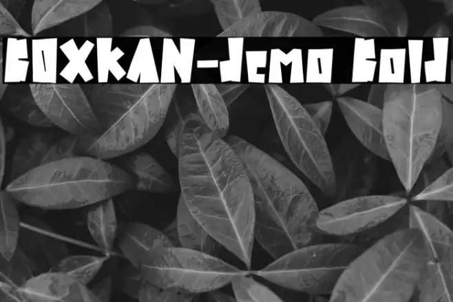 BOXKAN-demo Bold Example 2