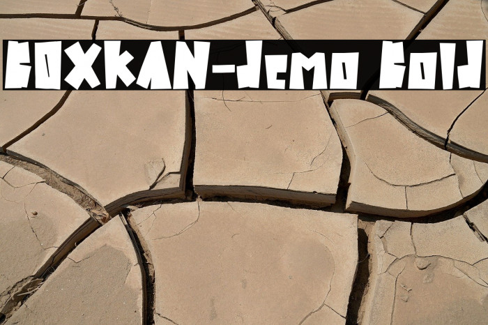 BOXKAN-demo Bold Example 3