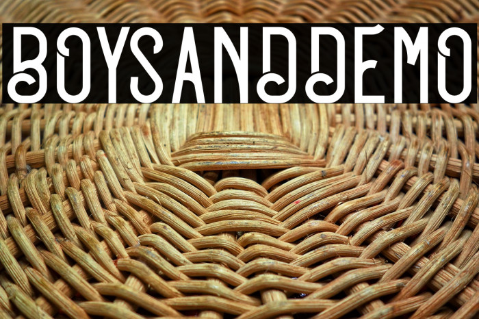 BOYSANDDEMO Example 2