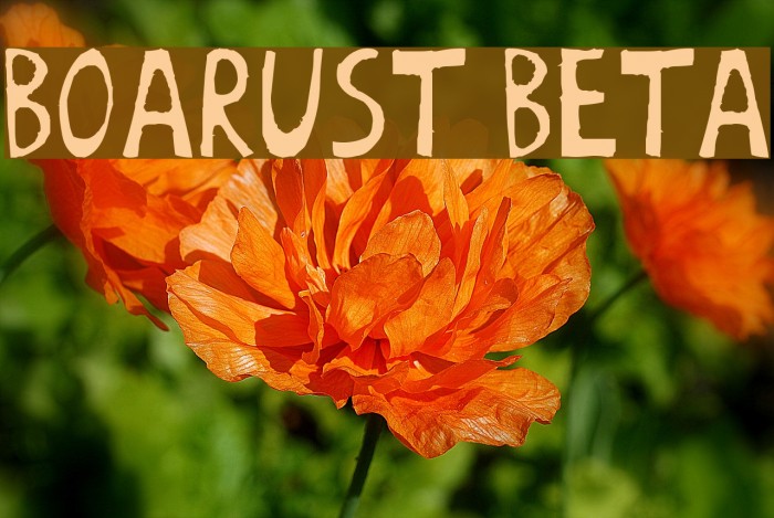 BoArust beta Font examples