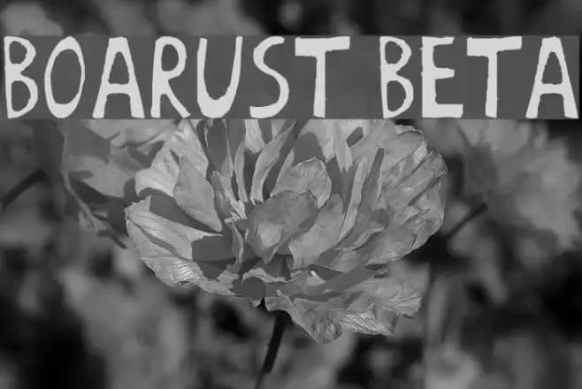 BoArust beta Example 3