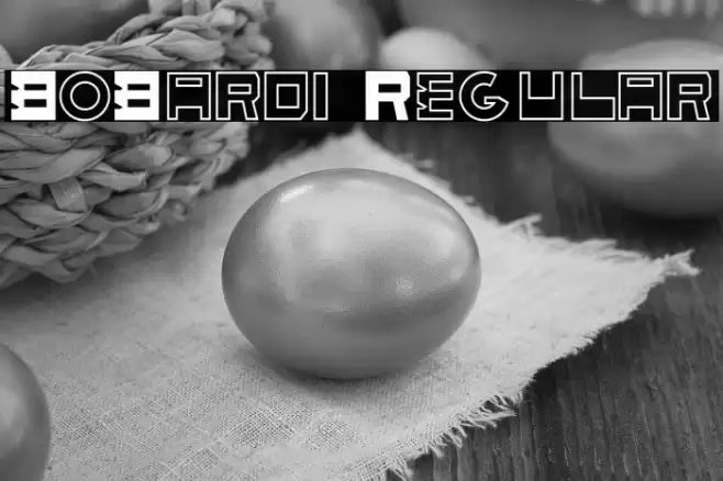 BoBardi Regular Font examples