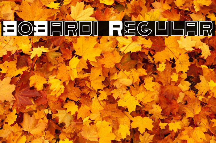 BoBardi Regular Example 2