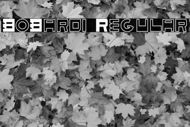 BoBardi Regular Font examples