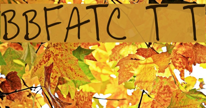 BoBsFrAnTiC True Type Font examples