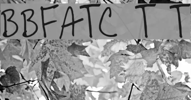 BoBsFrAnTiC True Type フォント examples
