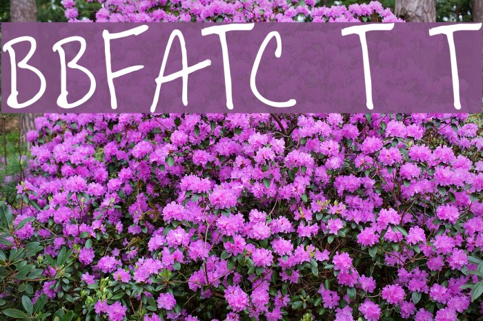 BoBsFrAnTiC True Type Font examples