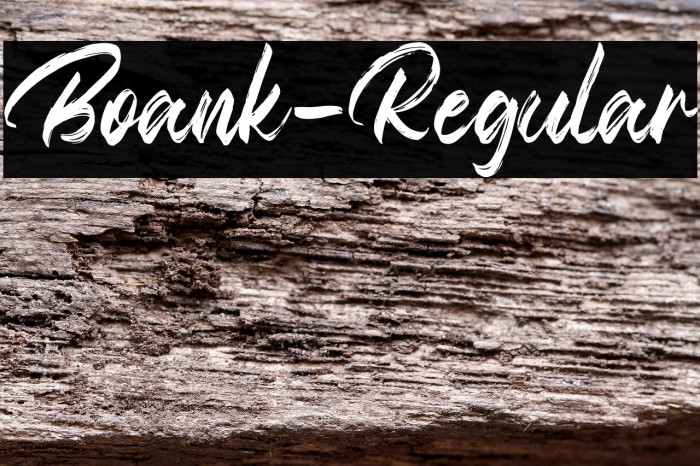 Boank-Regular Example 1