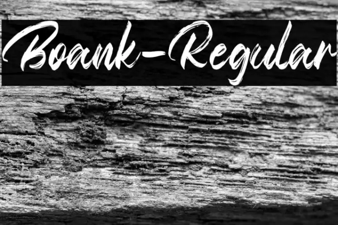 Boank-Regular Example 1