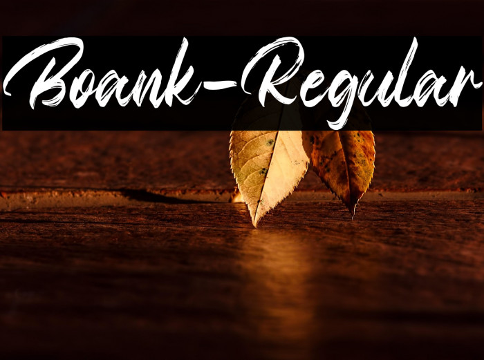 Boank-Regular Example 2