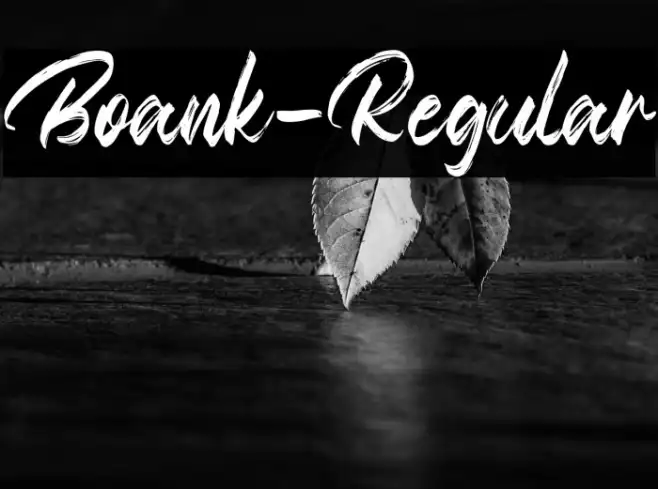 Boank-Regular Example 2