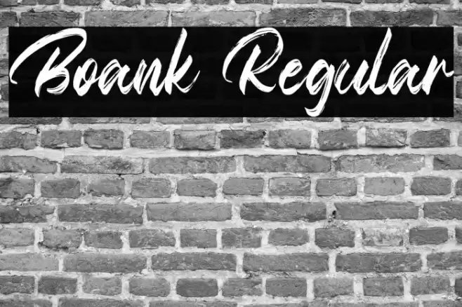 Boank Regular Font examples