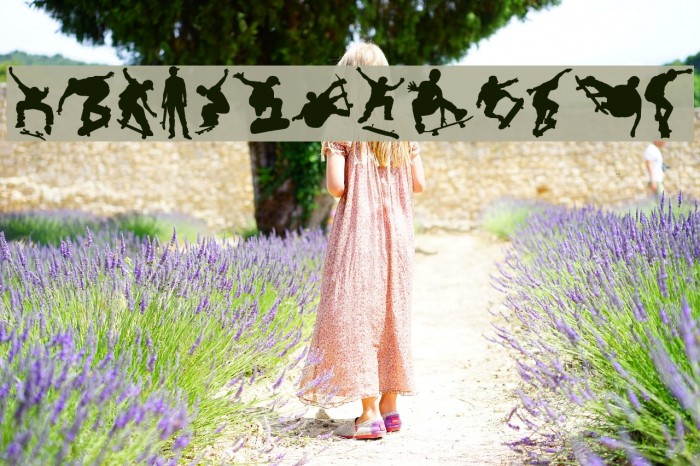 Board Dudes Example 3